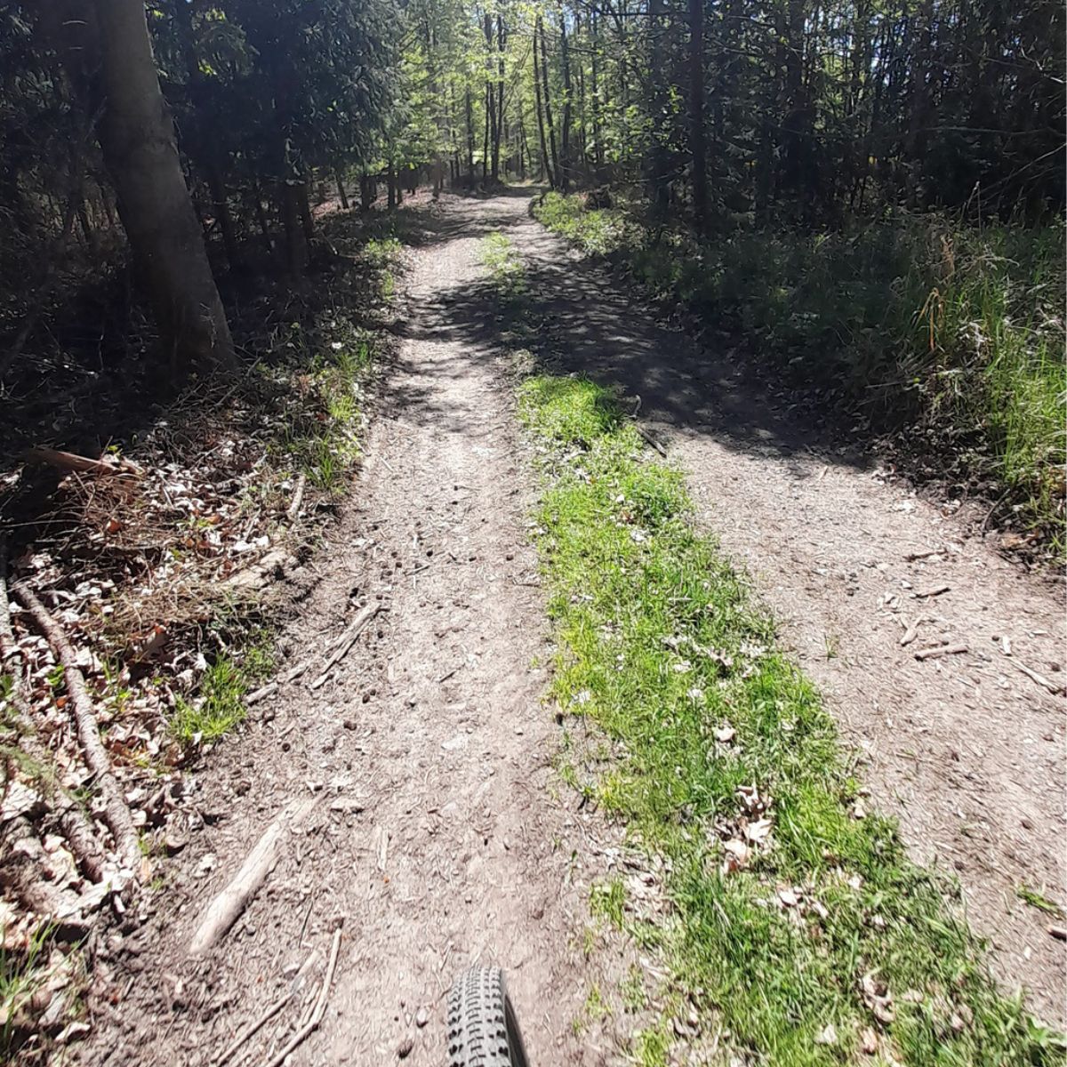 modra-znacka-cejkovice